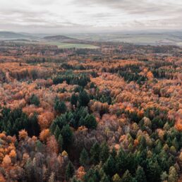 DJI_0283